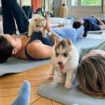 puppy yoga